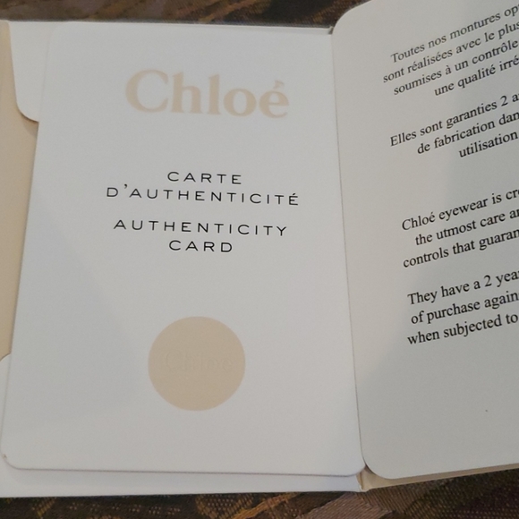 Chloe Host Pick Jan 2026 sunglasses from Chloe polarized - Picture 11 of 12